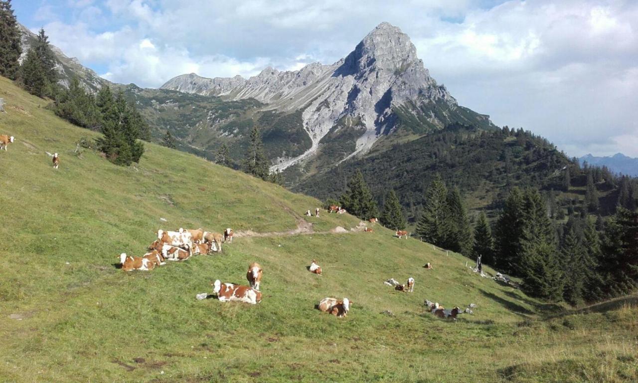 Burtscherhof In Braz Βίλα Ausserbraz Εξωτερικό φωτογραφία